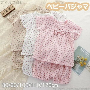 yzV[gpc ĕ pW} ̎q K[[  pW}   ZbgA [EFA ㉺Zbg  LbY ʋC