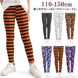 yz㕪 MX RX`[ڂ nEB Mp Xpbc XLj[ nEB tBbglX LbY nEB