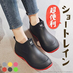 yzfB[X Y C V[gu[c AEghA h C V[g  JC JWA yA jp