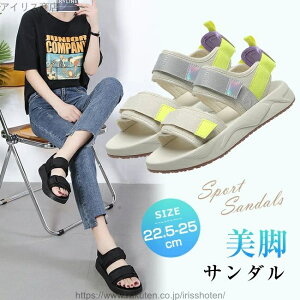 yzT_ fB[X  X|[cT_ 3cm T_ ~ r  ₷ Xj[J[T_ 傫TCY RtH[g V[Y y C JWA