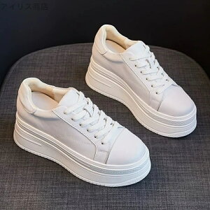 yzXj[J[ JWA zCg n ؍  |E^ v U[ 7cmq[ V[Y Xj[J[