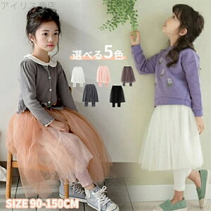 yzXJbc `[ `[XJ[g MX pc Y{ ڂ MXJ[g  xr[ H ۈ牀 ct