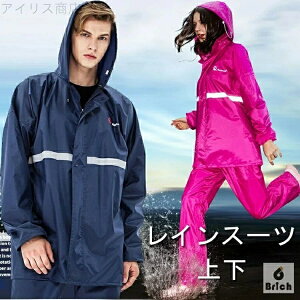 yzCX[c ㉺ ] CR[g Y fB[X CEFA ㉺Zbg  h y ʋ ʊw jp l