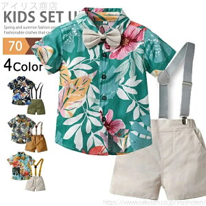 yzZbgAbv  j̎q AnVc ㉺Zbg LbY JWAVc tH[} Vc Tybg xr[