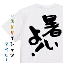 【長袖・ドライ有】一言系Tシャツ【暑いよ！】 おもしろTシャツ ネタTシャツ 文字Tシャツ ギフト プレゼント メンス レディース かわいい メッセージ 名言 団体 ウケ狙い 誕生日 記念日 職場 飲み会 推し活 出し物 発表会 学生 綿