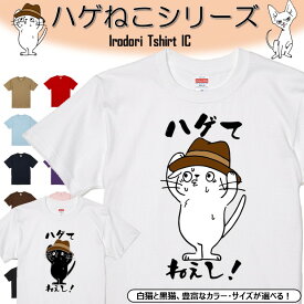 【長袖・ドライ有】 おもしろ猫tシャツ 【ハゲてねぇし！（しょかき）】 おもしろ tシャツ 選べる イラスト 動物 猫 ねこ cat にゃんこ ネタ 文字 ネコ かわいい ゆるキャラ キッズ 子供 大人 ギフト プレゼント 名言 ウケ狙い 誕生日 部屋着