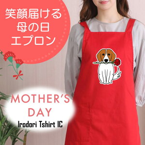 ̓ MtgΉ v[gyfRsJ[l[Vz Gv pI  Mtg Iׂ J[  l^  ʐ^ 摜  e  fB[X ꂳ  ʔ O