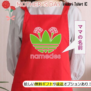 ̓ MtgΉ v[gynamedes J[l[V2z Gv pI  Mtg Iׂ J[  l^  ʐ^ 摜  e  fB[X ꂳ  ʔ