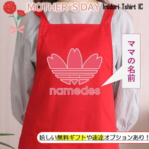 ̓ MtgΉ v[gynamedes n[gz Gv pI  Mtg Iׂ J[  l^  ʐ^ 摜  e  fB[X ꂳ  ʔ O 