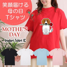 ギフト対応 母の日Tシャツ【デコピンカーネーション】 プレゼント 名入れ 文字入れ 写真 画像 実用的 喜ぶ おもしろ ネタ 文字 オリジナル かわいい お母さん ママ 母親 母 花以外 誕生日 記念日 長袖 ドラ 料理 掃除 家事 キッチン