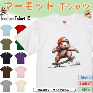 yEhCLz nTVc y XP{[ }[bg z  tVc tVc ʔ 킢 ܁[  CXg l^ LbY q l Mtg v[g EP_