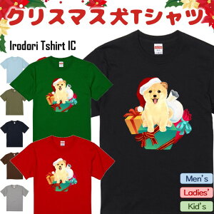 yEhCLz NX}XTVc y NX}X z RXv ߑ  q RX`[ T^ giJC NX}Xp[eB Mtg v[g 킢 c v[g a