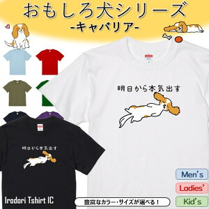 yEhCLz LoATVc y {Co z  tVc  LoA  ybg Aj} 邢 킢  QԒ LbY q l^  CX