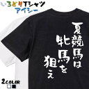 【長袖・ドライ有】競馬系Tシャツ【夏競馬は牝馬を狙え】 おもしろTシャツ ネタTシャツ 文字Tシャツ ギフト プレゼント かわいい メッセージ 名言 団体 ウケ狙い 誕生日 記念日 職場 飲み会 推し活 出し物 発表会 学生 綿