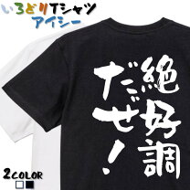 楽天市場】perfect dash tシャツの通販