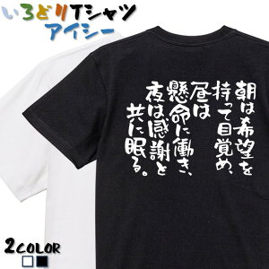 yEhCLznTVcy͊]Ėڊo߁A͌ɓA͊ӂƋɖBz TVc l^TVc TVc Mtg v[g 킢  c E