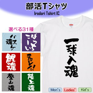 yEhCLzTVc܂Ƃ Iׂ31 TVc l^TVc TVc Mtg v[g 킢 bZ[W  c EP_ a LO E ݉  