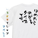 【長袖・ドライ有】ポジティブ系Tシャツ【ほめたらのびるタイプです。】おもしろTシャツ ネタTシャツ 文字Tシャツ ギフト プレゼント 贈り物 メッセージ 名言 団体 ウケ狙い 誕生日 記念日 職場 飲み会 推し活 出し物 発表会 学生
