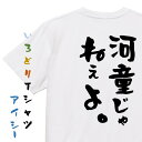 【長袖・ドライ有】ハゲ系Tシャツ【河童じゃねぇよ。】おもしろTシャツ ネタTシャツ 文字Tシャツ ギフト プレゼント 贈り物 メッセージ 名言 団体 ウケ狙い 誕生日 記念日 職場 飲み会 推し活 出し物 発表会 学生
