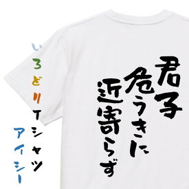 【長袖・ドライ有】名言系Tシャツ【君子危うきに近寄らず】おもしろTシャツ ネタTシャツ 文字Tシャツ ギフト プレゼント 贈り物 メッセージ 名言 団体 ウケ狙い 誕生日 記念日 職場 飲み会 推し活 出し物 発表会 学生