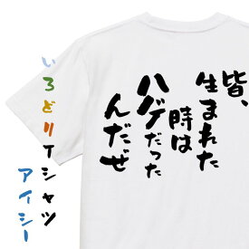 【長袖・ドライ有】ハゲ系Tシャツ【皆、生まれた時はハゲだったんだぜ】おもしろTシャツ ネタTシャツ 文字Tシャツ ギフト プレゼント 贈り物 メッセージ 名言 団体 ウケ狙い 誕生日 記念日 職場 飲み会 推し活 出し物 発表会 学生