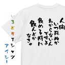 【長袖・ドライ有】酒飲み系Tシャツ【人間いつ死ぬか分からないんですよ飲めるときに飲んどかなきゃ】おもしろTシャツ ネタTシャツ 文字Tシャツ ギフト プレゼント 贈り物 メッセージ 名言 団体 ウケ狙い 誕生日 記念日 職場 飲み会 推し活 出し物 発表会 学生