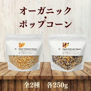 y9/1~11ő200~OFFN[|z_2킩Iׂ^ i`Lb` L@|bvR[ 250g }bV[ }`J[ L@ |bvR[ Y  Ƃ낱