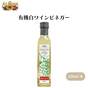 y420ő300~OFFN[|zAT L@CrlK[ 250ml C^AYI[KjbNCrlK[ ƐhbVO L@T_