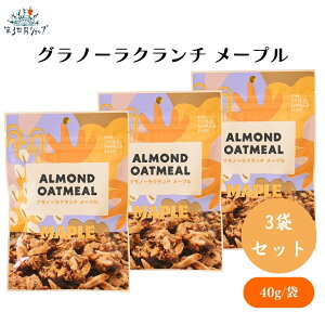 y12/3 2010%OFFz Om[N` [v 40g x3 XibNibc [vI[g~[&A[hN`