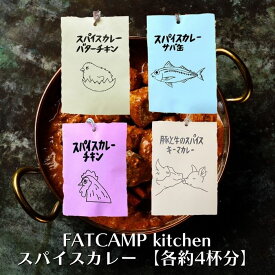 【9日20時から最大300円OFFクーポン】FATCAMP kitchen スパイスカレー 約4杯分 スパイスカレーチキン サバ缶 豚と牛のスパイスキーマカレー バターチキン　スパイスキット キャンプ飯 グルテンフリー カレー カレースパイス アウトドア