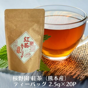 y420ő300~OFFN[|z쉀 giF{Yj eB[obO 2.5g×20P