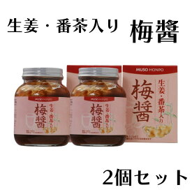 ムソー 生姜・番茶入り梅醤 250g 2個 梅びしお 無添加 梅醤番茶 練り梅