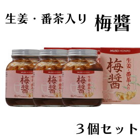 ムソー 生姜 番茶入り梅醤 250g 3個セット 梅びしお 無添加 自然素材 梅醤