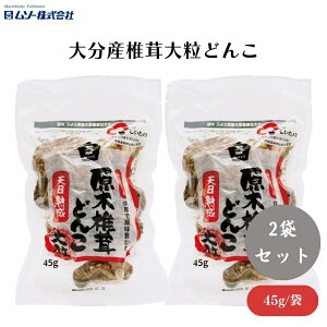 \[ 啪Yő嗱ǂ 45g x2 啪Ō؍͔|ꂽőEǂ񂱂AVn