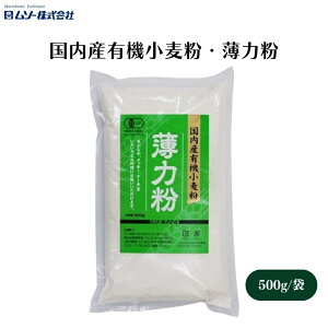 y420ő300~OFFN[|z\[ YL@E͕ 500g YL@𐻕L@͕ VՂAP[LANbL[