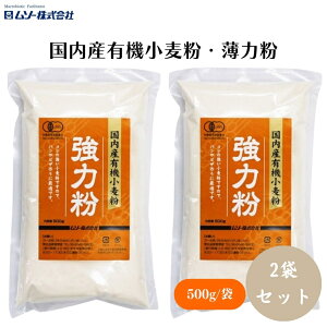 y420ő300~OFFN[|z\[ YL@E͕ 500g x2 YL@𐻕RV̋ psUEǂ