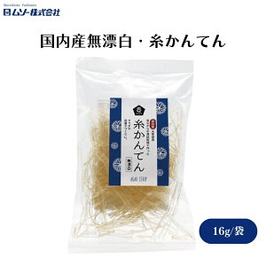 \[ YYEĂ 16g Y܂g킸AY̓V݂̂Ƃ׊V T_X[vȂǂ