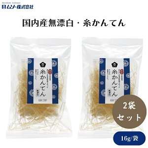 y2020ő300~OFFN[|z\[ YYEĂ 16g x2 Y܂g킸AY̓V݂̂Ƃ׊V T_X[vȂǂ