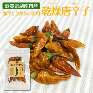 とうがらし 乾燥の通販 価格比較 価格 Com