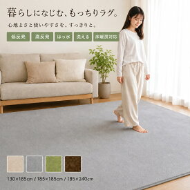 【1000円ポッキリ 送料無料】ラグ ラグマット 洗える 低反発/高反発 撥水 130×185cm 185×185cm 185×240cm 1.5畳 2畳 3畳 カラーズルーム 厚い おしゃれ カーペット マイクロファイバー もっちり 厚手 防音 滑り止め 洗濯機対応 防音マット 床暖房 iroDori Plus