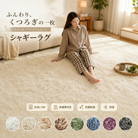 ラグ 円形 洗える シャギーラグ ふわふわ ラグマット 10mmウレタン入り 極細マイクロファイバー オールシーズン 滑り止め 北欧 おしゃれ 防音 床暖房対応 ホットカーペット対応 130×185 185×185 185×240 円形 iroDori Plus