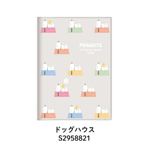 TX^[ 2026 蒠  B6 Jo[t Xk[s[ 10n܂ [֑Ή _CA[ XPW[ }X[ {