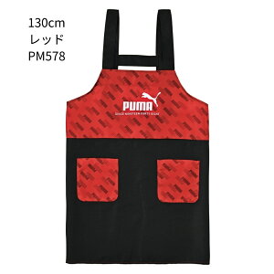 �y�G���g���[�{P5�{�S���i�Ώہz�N�c�� �v�[�} �G�v���� 130cm PM578 140cm PM579 150cm PM580 160cm PM581 ���[���֑Ή� �L�b�Y �ƒ�� �������K �q�� �j�̎q ���w�� ���w�Z �ʊw �V���w �V�w��