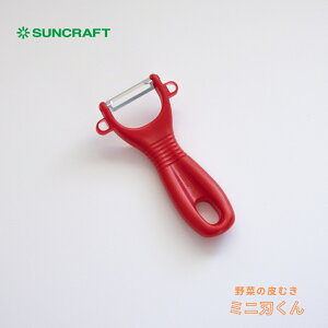 Gg[{P5{SiΏہTNtg ~jn ނ s[[ [֑Ή  { 甍 XeX