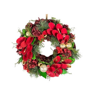 f i`[X HJ44145-30 NX}X [X   CeA