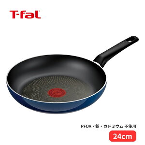 eBt@[ Cu[ECeX tCp 24cm D53304 KXΐp PFOAsgp тɂ 