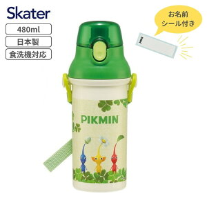 XSiΏۃGg[{P5{XP[^[  480ml  sN~ H@Ή R { c  q LbY LN^[ PSB5SANAG