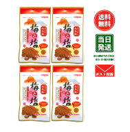 【1000円ポッキリ】マルヤマ食品 梅と塩 7g×4袋