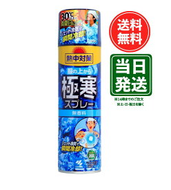 桐灰化学 熱中対策 服の上から極寒スプレー 無香料 330ml