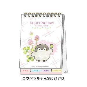 TX^[ 2026 fXNJ_[bZ[Wt jn܂ [֑Ή J_[  킢 LN^[